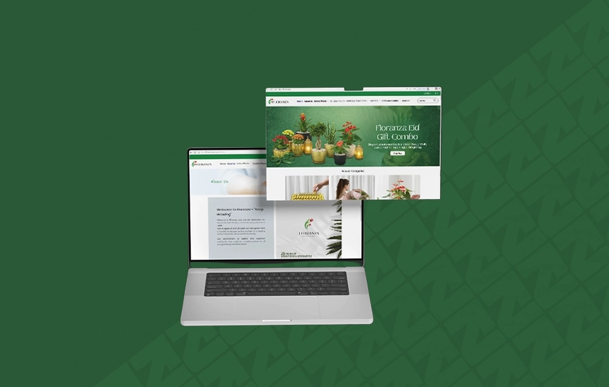Professional Ecommerce Website Design in Riyadh Saudi Arabia