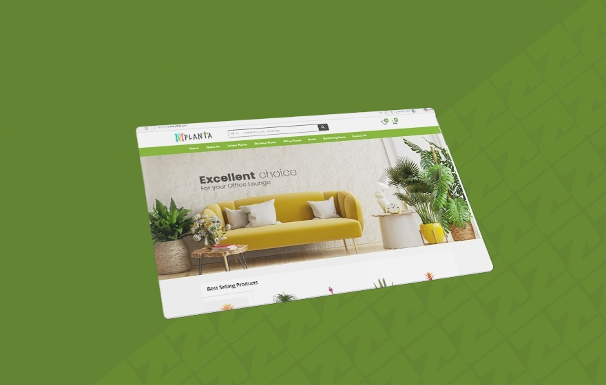 Ecommerce Web Development Company in Riyadh Saudi Arabia